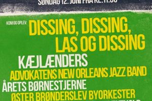 12.06.2016 Parkfestival Rhododendronparken